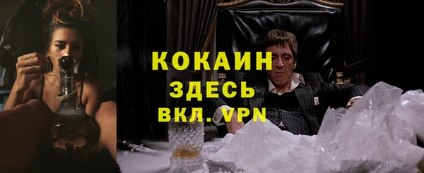 молекула духа Арсеньев