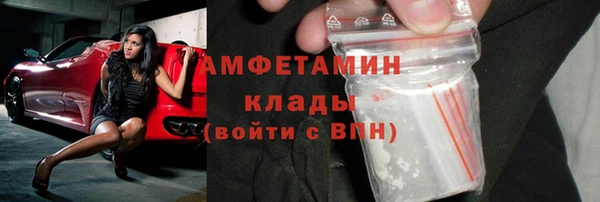 молекула духа Арсеньев