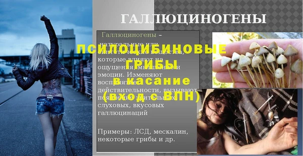 молекула духа Арсеньев