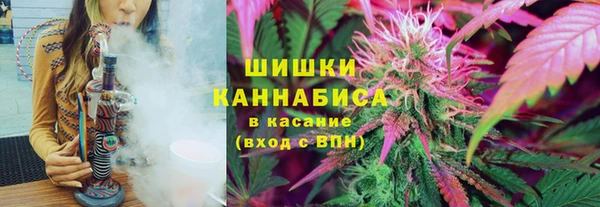 молекула духа Арсеньев
