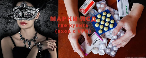 молекула духа Арсеньев