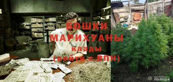 молекула духа Арсеньев